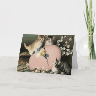 Kitten Cat Easter Chick Coloured Painted Egg Holiday Card