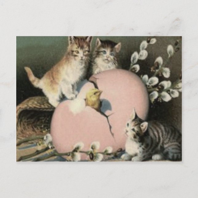 Kitten Cat Easter Chick Coloured Painted Egg Holiday Postcard (Front)