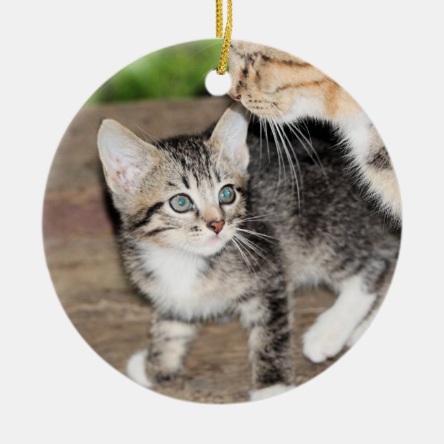 Kitten Ceramic Ornament (Front)