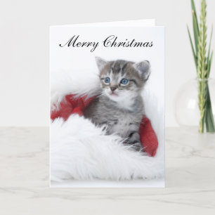 Kitten Christmas Card