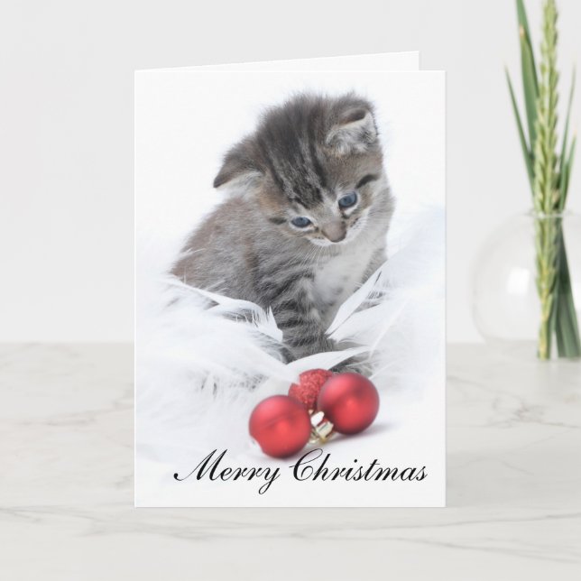 Kitten Christmas Card (Front)