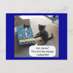 Kitten Christmas Surprise Postcard
