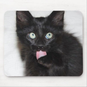 Kitten Cleaning Paw Mouse Pad