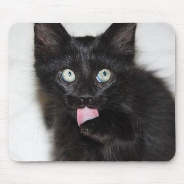 Kitten Cleaning Paw Mouse Pad (Front)