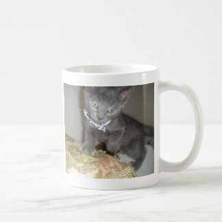 Kitten Coffee Mug