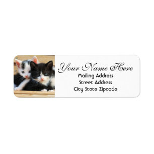 Kitten Couple Return Address Label