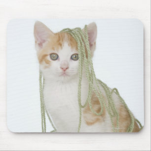 Kitten covered in yarn mouse pad