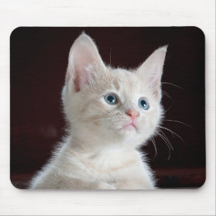Kitten Cutie Mouse Pad