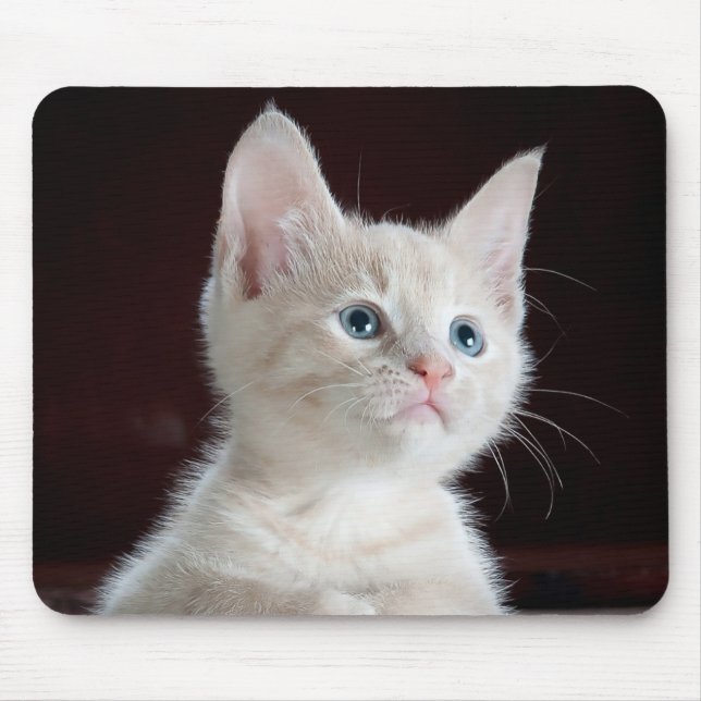 Kitten Cutie Mouse Pad (Front)