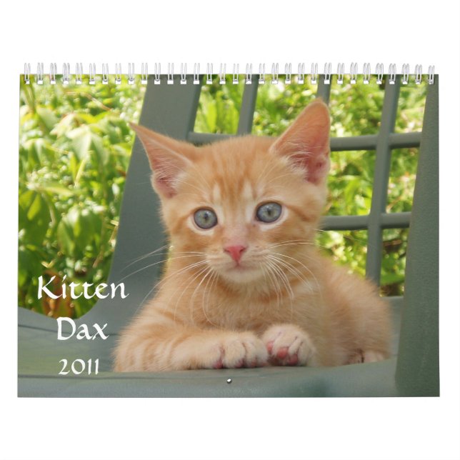 Kitten Dax 2011 Calendar (Cover)