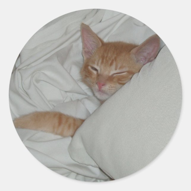 Kitten Dax Dreams Sticker (Front)