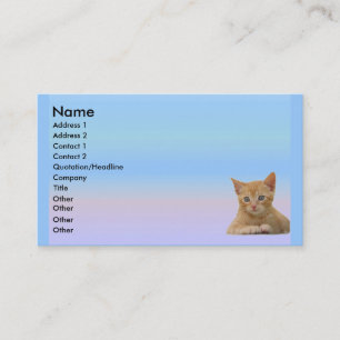 Kitten Dax Profile Card