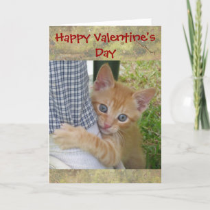 Kitten Dax Valentine Card