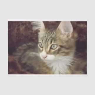 Kitten Decoupage Paper Craft Furniture Cat