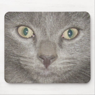 kitten face2 mousepad -grey