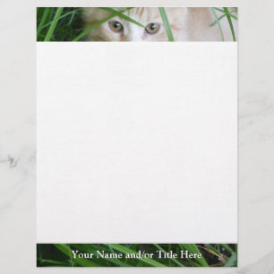 Kitten Gaze Letterhead