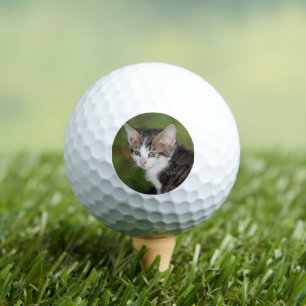 Kitten Golf Balls