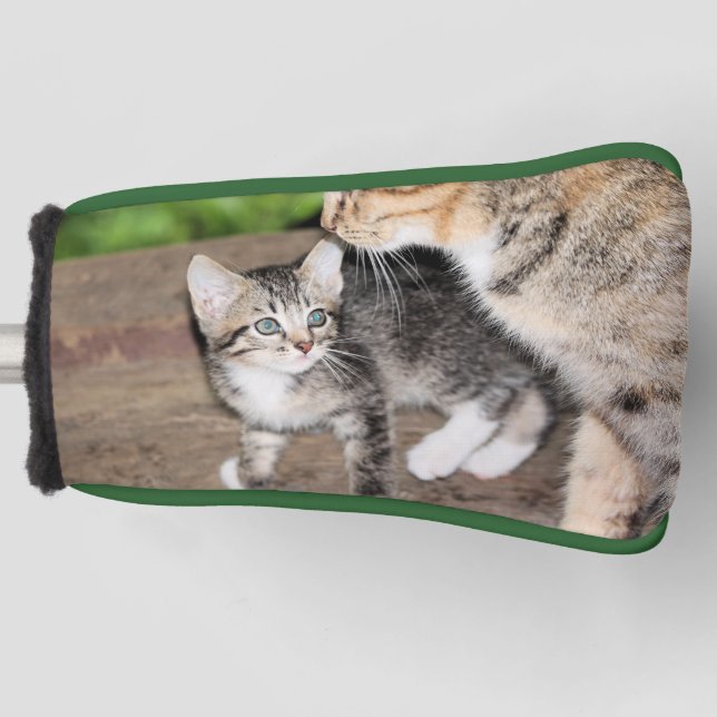 Kitten Golf Head Cover (Front)