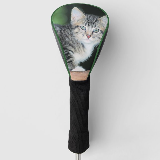Kitten Golf Head Cover (Front)