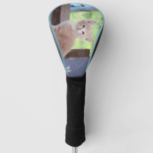Kitten Golf Head Cover