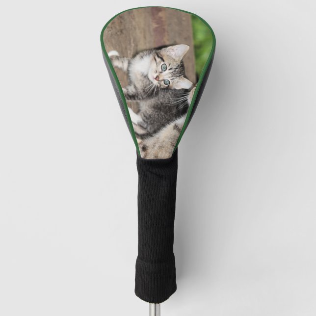 Kitten Golf Head Cover (Front)