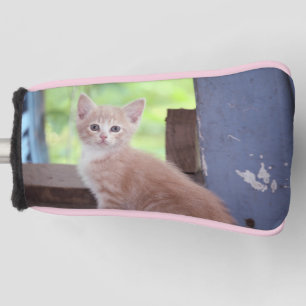 Kitten  golf head cover
