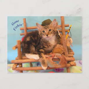 Kitten Gone Fishin' Postcard