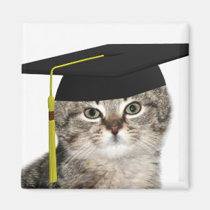 Kitten graduation magnet