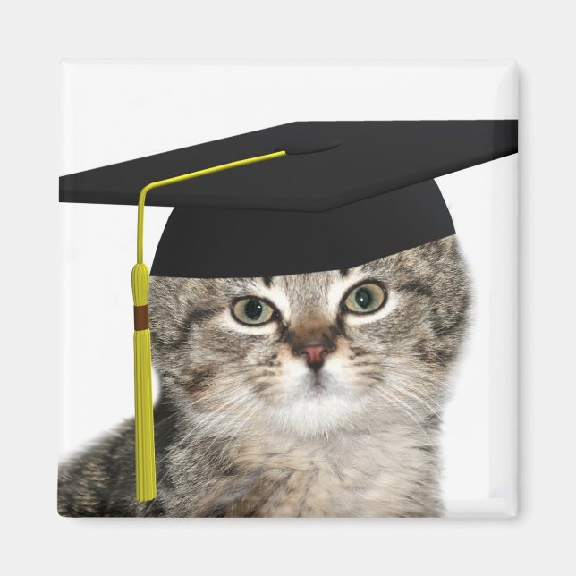 Kitten graduation magnet (Front)