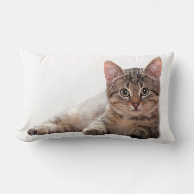 Kitten Gray White Cat Cute Animal  Lumbar Cushion (Front)