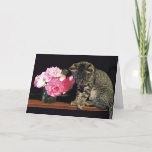Kitten Greeting Card