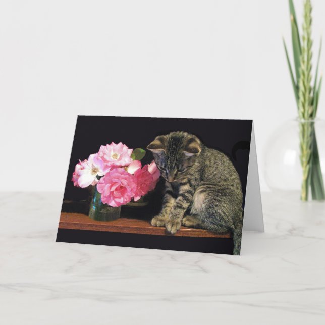 Kitten Greeting Card (Front)