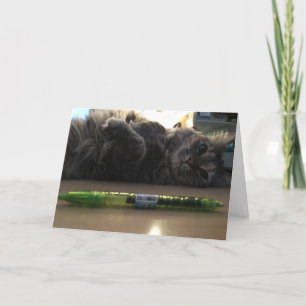 kitten greeting card #2