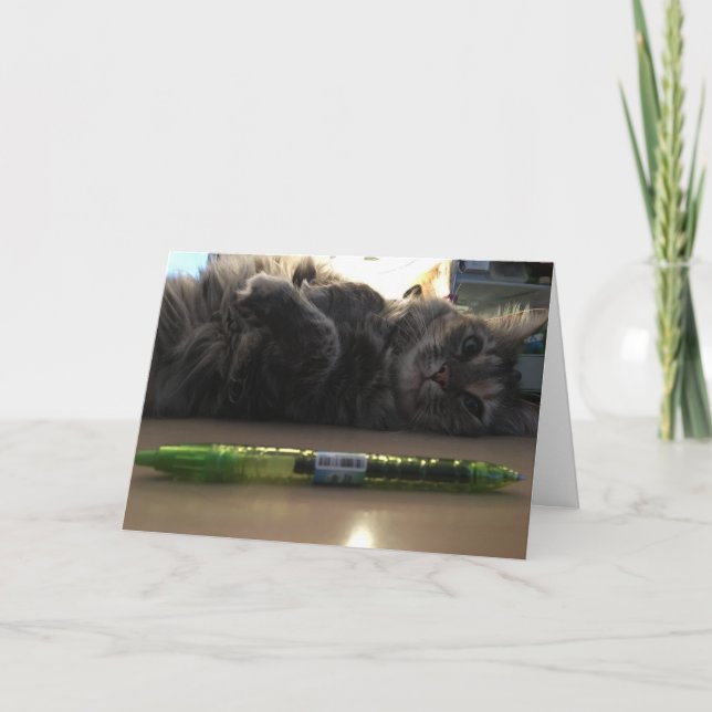 kitten greeting card #2 (Front)