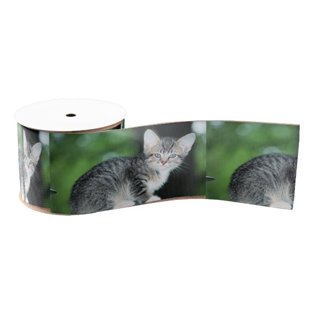 Kitten Grosgrain Ribbon (Spool)