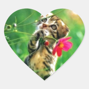 Kitten Heart Shape Stickers
