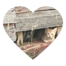 Kitten Heart Sticker