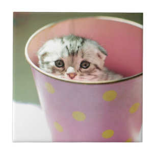 Kitten Hiding Ceramic Tile