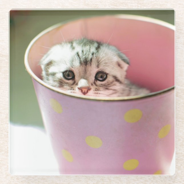 Kitten Hiding Glass Coaster (Front)