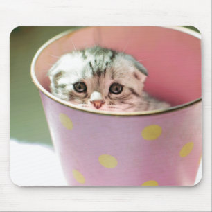 Kitten Hiding Mouse Pad