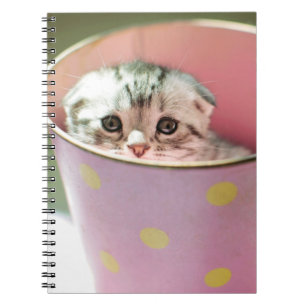 Kitten Hiding Notebook