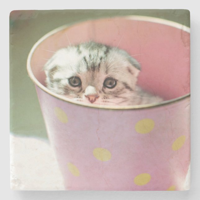 Kitten Hiding Stone Coaster (Front)