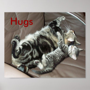 Kitten hugs poster