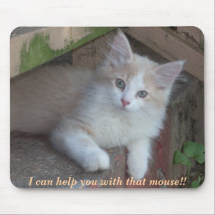 KITTEN: I can help you with that mouse!! Mouse Pad