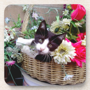 Kitten in a Basket Coaster