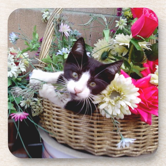 Kitten in a Basket Coaster (Front)