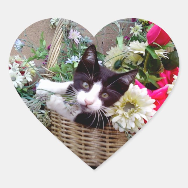 Kitten in a Basket Heart Sticker (Front)