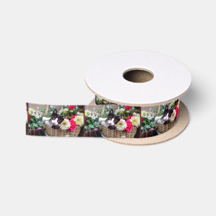 Kitten in a Basket Satin Ribbon