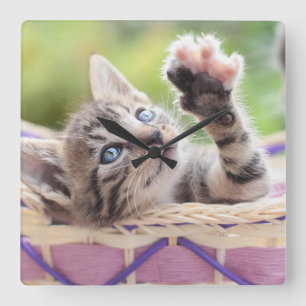 Kitten In A Basket Square Wall Clock