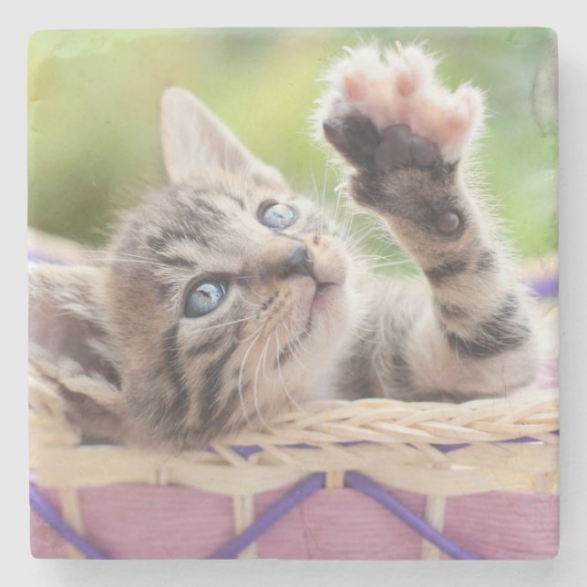 Kitten In A Basket Stone Coaster (Front)